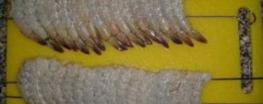 Шаг 1: шашлыка из креветок на шпажках