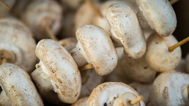 Рецепт Шашлыка из шампиньонов