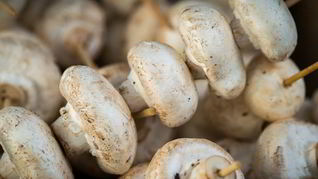 Рецепт Шашлыка из шампиньонов