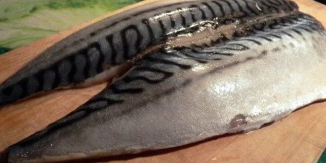 Рецепт шницеля из скумбрии