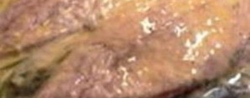 Шаг 2: шницеля со скумбрией