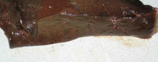 Шаг 8: шницелей куриных и печень с салатом