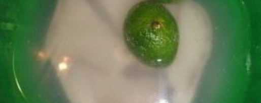 Шаг 1: стейка голубой акулы