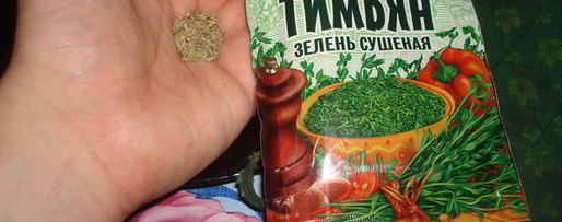 Шаг 18: стриплойна — стейка с зеленой фасолью