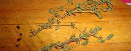 Шаг 8: итальянских тефтелей в томатном соусе