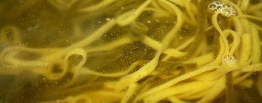 Шаг 6: пасты с куриными тефтелями под тыквенным соусом