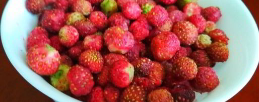 Шаг 1: вареников с лесной земляникой