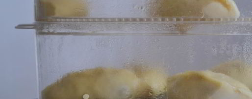 Шаг 14: вареников с вишней на пару