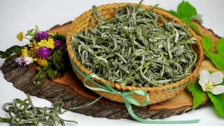 Рецепт Зеленой домашней лапши с крапивой