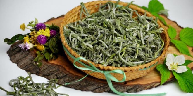 Рецепт зеленой домашней лапши с крапивой