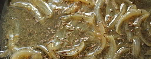 Шаг 5: жаркого из баранины с молодой фасолью в тминном соусе