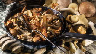 Рецепт Жаркого с летними опятами