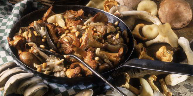 Рецепт жаркого с летними опятами
