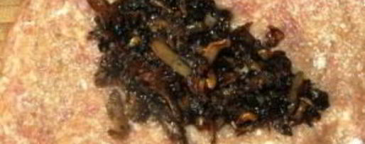 Шаг 2: свиных зраз