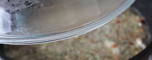 Шаг 3: гречки с курицей в томатно-грибном соусе