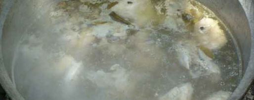 Шаг 4: каши лесной