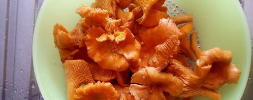 Шаг 3: поленты с лисичками в сливочном соусе