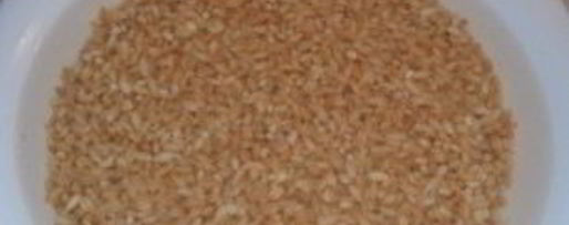 Шаг 2: каши перловой с говядиной