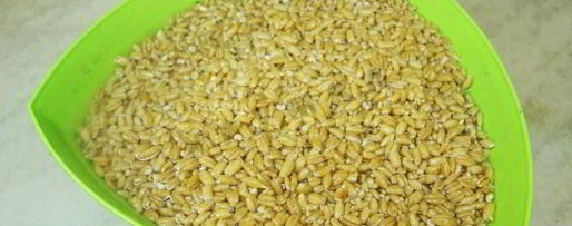 Шаг 1: перловой каши с курицей в мультиварке