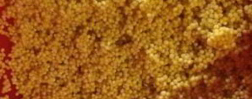 Шаг 3: пшеничной каши с соевым мясом и овощами