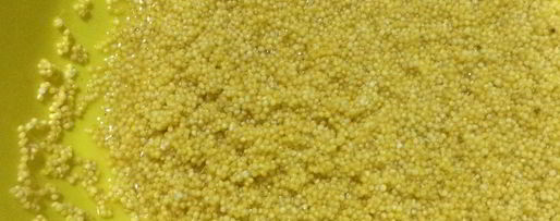 Шаг 1: пшенной каши с тыквой и вареньем