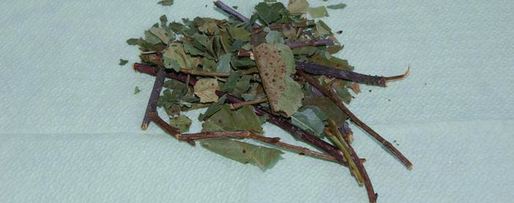 Шаг 1: чая, ароматного и вкусный