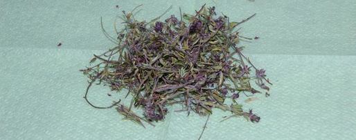 Шаг 2: чая, ароматного и вкусный