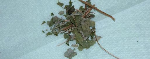 Шаг 3: чая, ароматного и вкусный