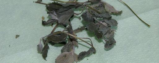 Шаг 4: чая, ароматного и вкусный