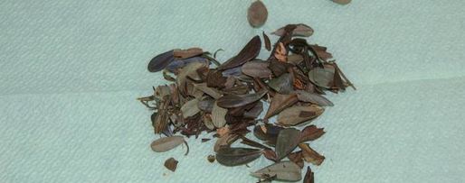 Шаг 5: чая, ароматного и вкусный