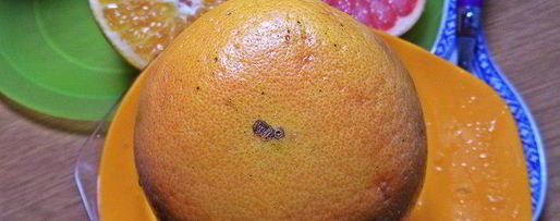 Шаг 4: чая пуэр с цитрусами и бальзамом