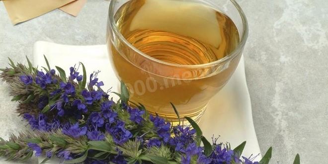 Рецепт чая с иссопом