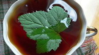 Рецепт Чая с листьями смородины