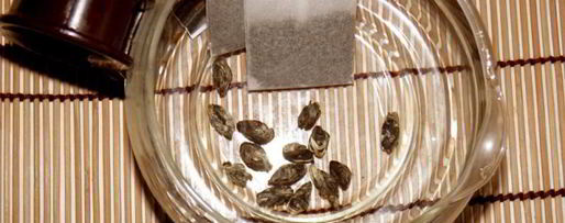 Шаг 2: чая зеленого с жасмином