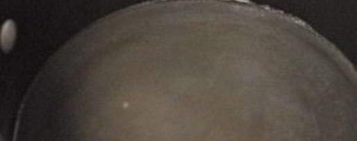 Шаг 1: имбирно-мятного чай