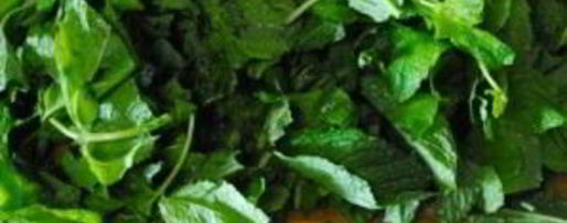 Шаг 4: имбирно-мятного чай