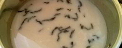 Шаг 2: йоги чай