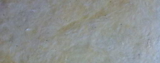 Шаг 3: киша с шампиньонами