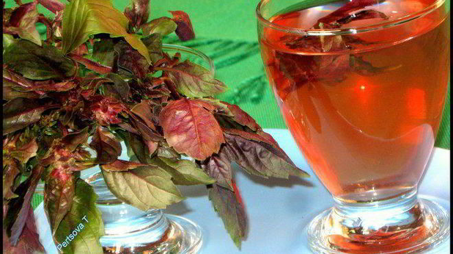 Рецепт очень полезного, вкусного холодного чая из базилика