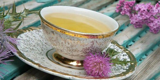 Рецепт расторопши чай