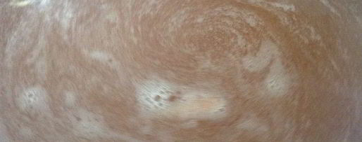 Шаг 3: ревнивого чая