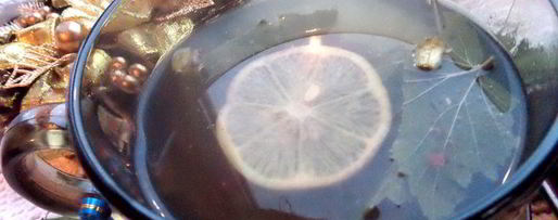 Шаг 12: согревающего чая со специями