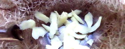 Шаг 6: согревающего чая со специями