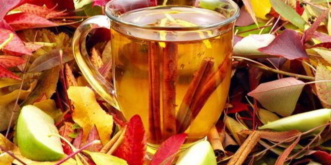 Рецепт яблочного чая с корицей и гвоздикой