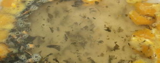 Шаг 3: чайного напитка с цитрусовыми круглогодичный