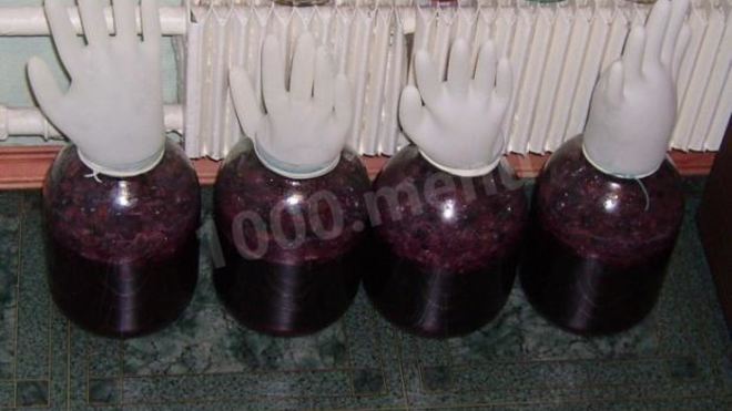 Рецепт Домашнего вина из винограда Изабелла