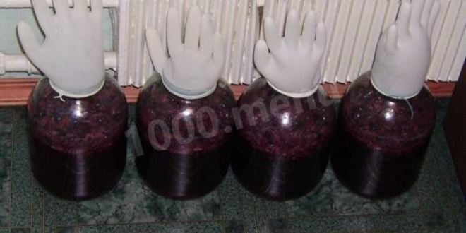 Рецепт домашнего вина из винограда изабелла