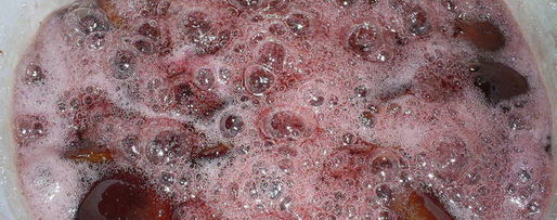 Шаг 2: карамелизированных слив в густом сиропе