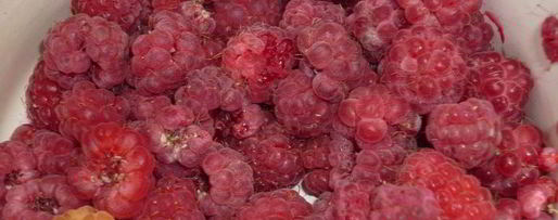 Шаг 8: дедушкиного любимого киселя