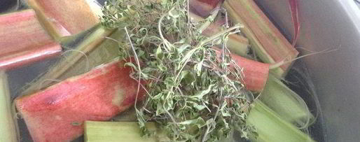 Шаг 1: киселя чабрец, ревень и малина